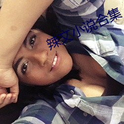 辣文小(xiǎo)说合集(jí)
