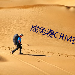 成免费CRM在(在)线看系统