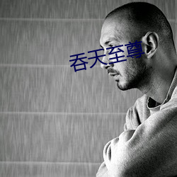 吞天至尊(尊)