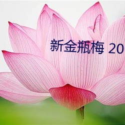 新金瓶梅 2013