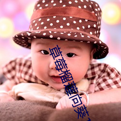 草莓榴莲向葵18岁(歲)注(注)意