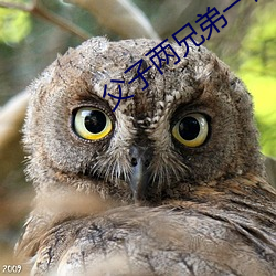 父(父)子两(兩)兄弟一(一)前一后(後)攻击