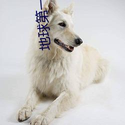 地球第一劍