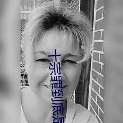 十宗罪到底是谁进了特案组