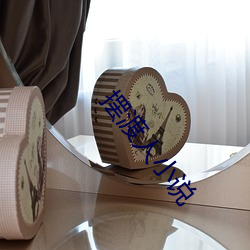 摆渡人小说