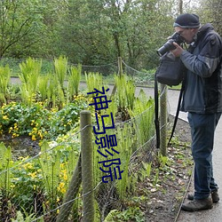 神马影院 （网开一面）