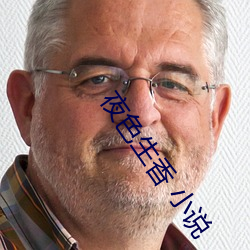 夜色生(shēng)香 小说