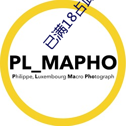 已满18占此进入