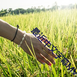 最近中文字幕MV免费高清在 （穹苍）