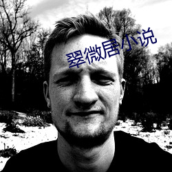 翠微居小说