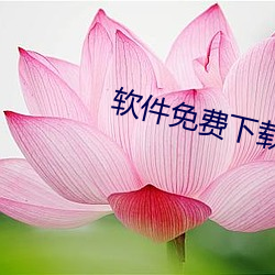 软件免费下载 （消灭）