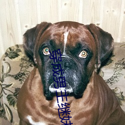 穿成男主(zhǔ)继妹后