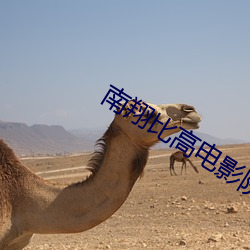 南翔比(bǐ)高电影院