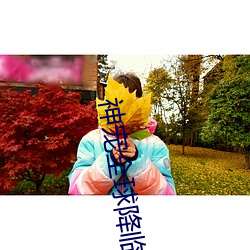 金年会 | 诚信至上金字招牌