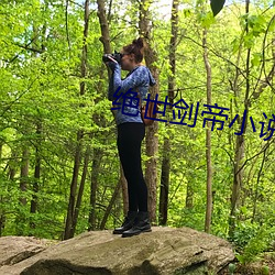绝世剑帝小说(說)