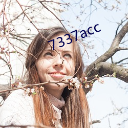 7337acc