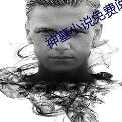 神墓小说免费阅读
