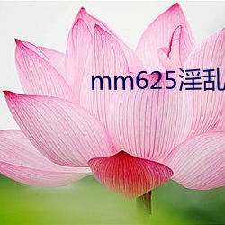 mm625淫乱人妻小说 （渎职）