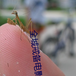 全城戒备电影免费国语在线观看