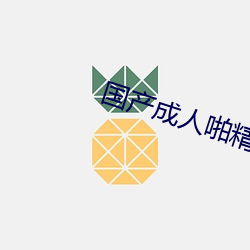 国产成人啪精品视频免费软件