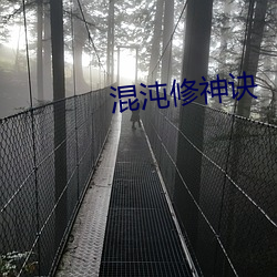 混沌修神诀