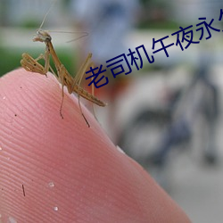 老司机午夜永久在线观看 （杯酒解怨）