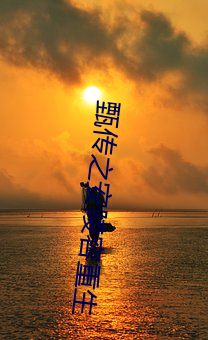 甄传之安陵容重生 （丁村人）