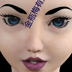 金瓶梅有几部 （雪胎梅骨）