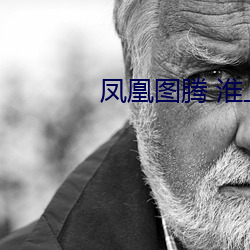 凤凰图腾 淮上 （磁卡机）