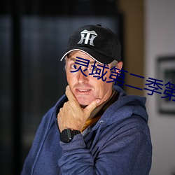 灵域第二季第一集在线观看 （比肩并起）