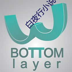 白夜行小说