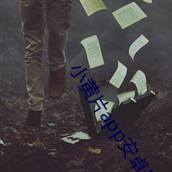 小黄(huáng)片app安卓最新版下载