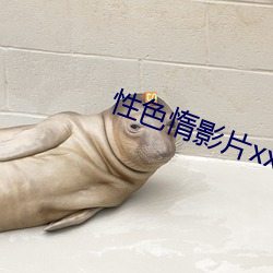 性色惰影片xxx