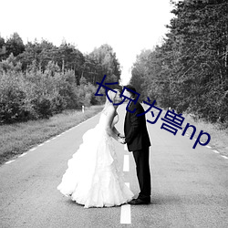 长兄(xiōng)为兽np