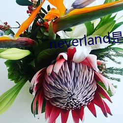 neverland是什么意思
