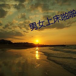 男女上床(床)啪啪(啪)