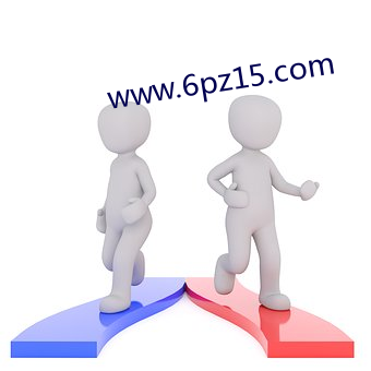 www.6pz15.com