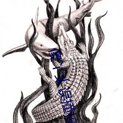 傻丫头误撞校草心
