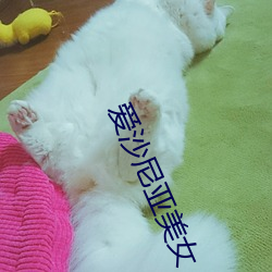 愛沙尼亞美女