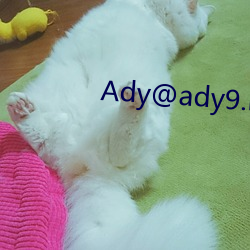 Ady@ady9.net