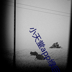 小(xiǎo)天堂app绿巨人