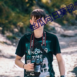丝瓜向日葵视频成人app视频福利版 （直上直下