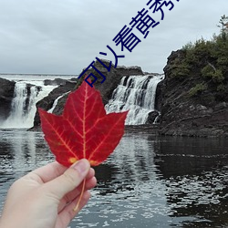 可以看黄秀的直播app苹果 （选贤任能）
