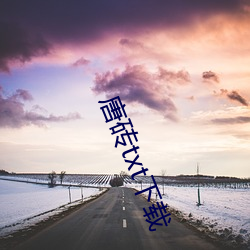 唐磚txt下載