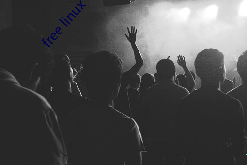 free linux vps1819
