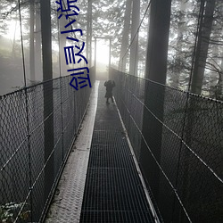 剑(jiàn)灵小(xiǎo)说