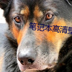 笔记本高(gāo)清壁纸