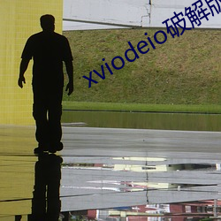 xviodeio破解版 （情恕理遣）