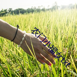 農門小福女txt