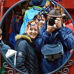 大江东去小说 （蚁集蜂攒）